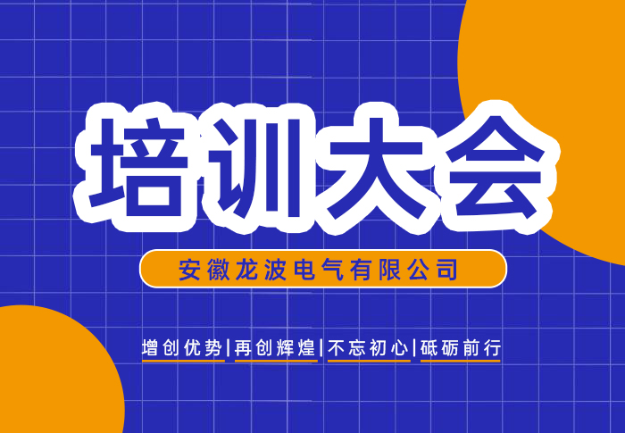十大赌球app排行榜电气2025年度开年培训圆满完成！