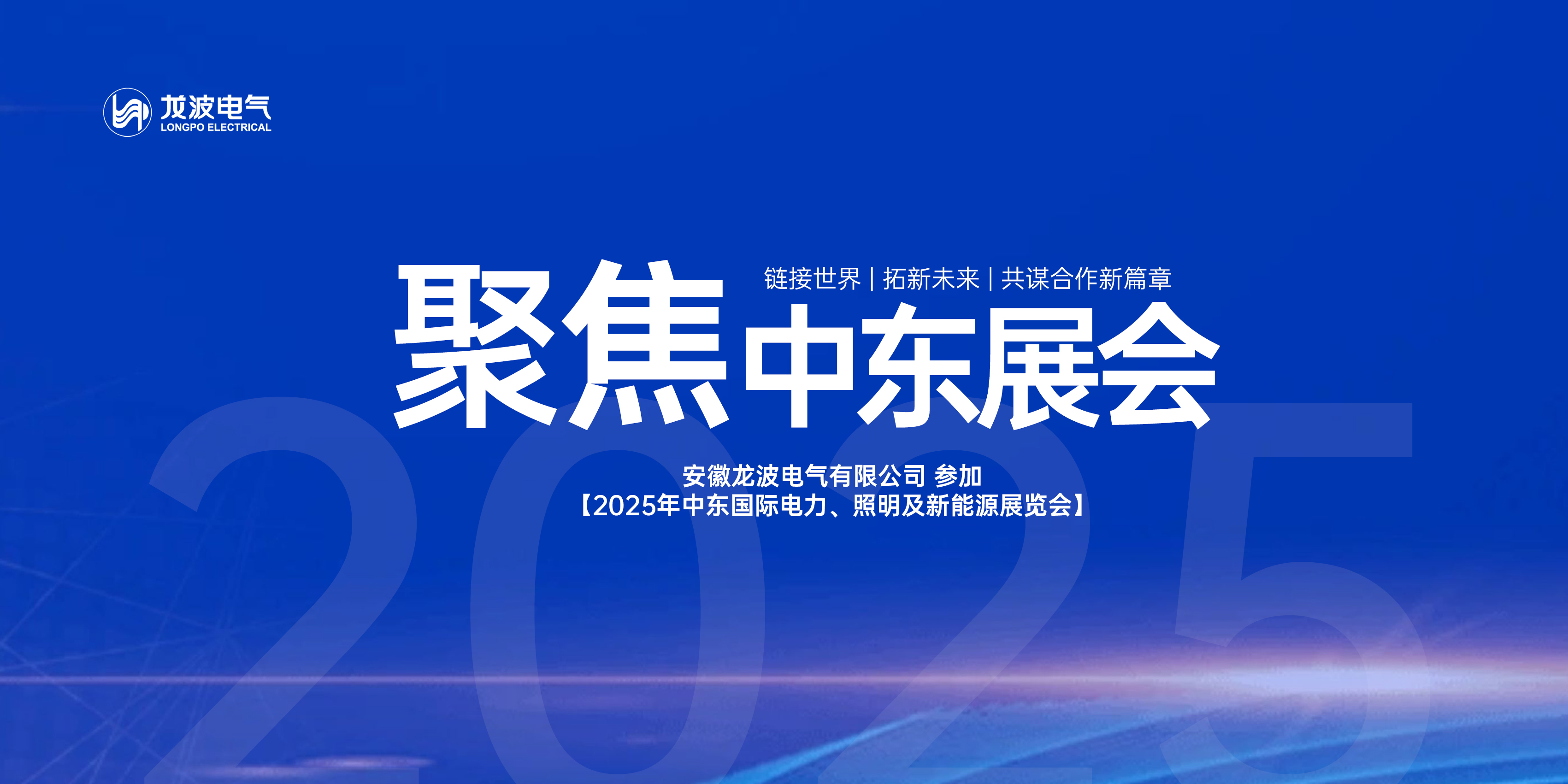 链接世界   ，拓新未来   ，共谋合作新篇章 | 安徽十大赌球app排行榜电气参加2025中东国际电力展览会